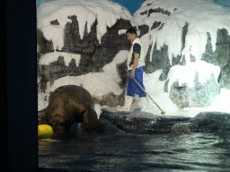Walrus and zookeeper at the Pole Aquarium at the Dalian Laohutan Ocean Park