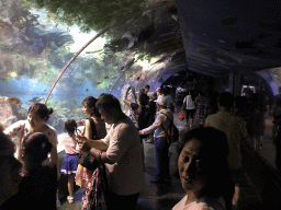 Underwater tunnel at the Coral Hall at the Dalian Laohutan Ocean Park