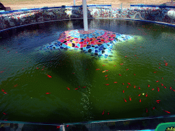 Pond with goldfish at the Dalian Laohutan Ocean Park