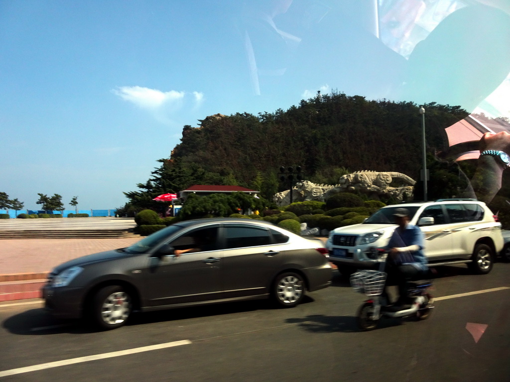 Lizard statues at Binhai Middle Road, viewed from the taxi