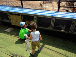 Max with rabbits and chickens at the petting zoo at the northwest side of the Dongshan Scenic Area