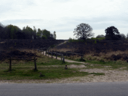 Path to the top of the Havelterberg hill