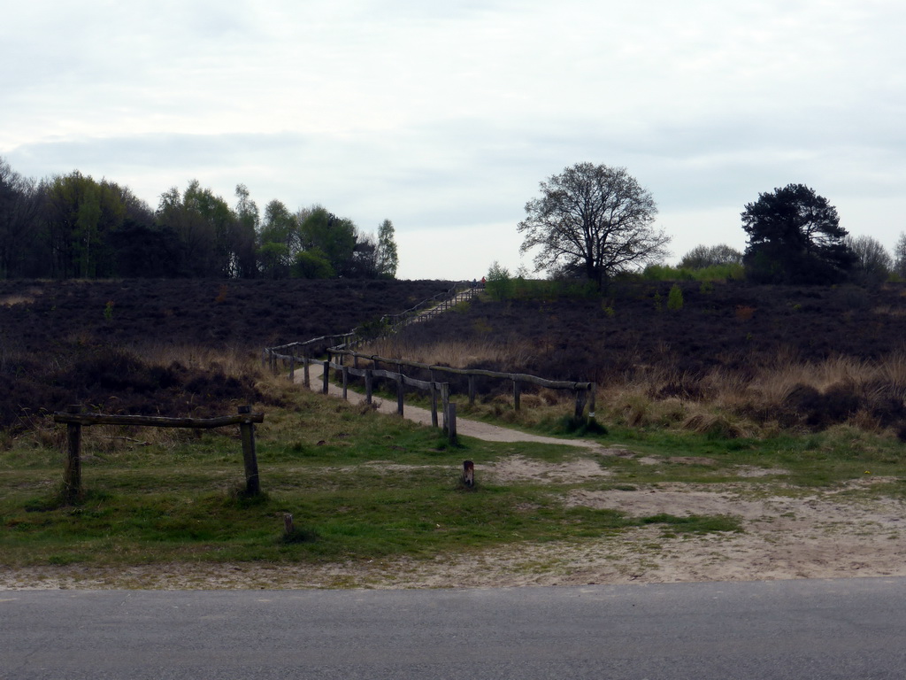 Path to the top of the Havelterberg hill