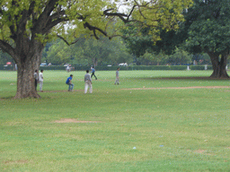 People playing cricket at the grass fields at the C-Hexagon Square