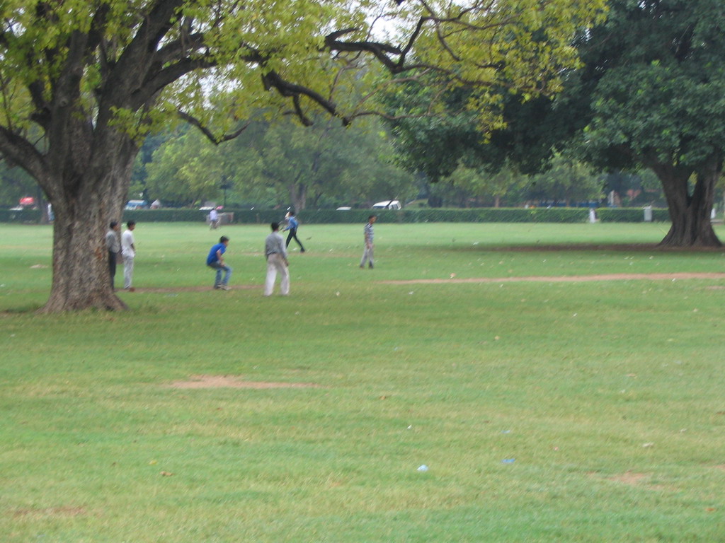 People playing cricket at the grass fields at the C-Hexagon Square