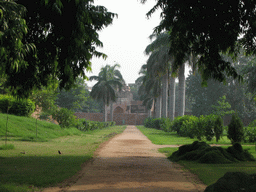 Lane with trees at the Humayun`s Tomb complex