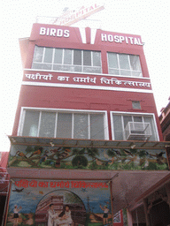 Front of the Birds Hospital at the Chandni Chowk road