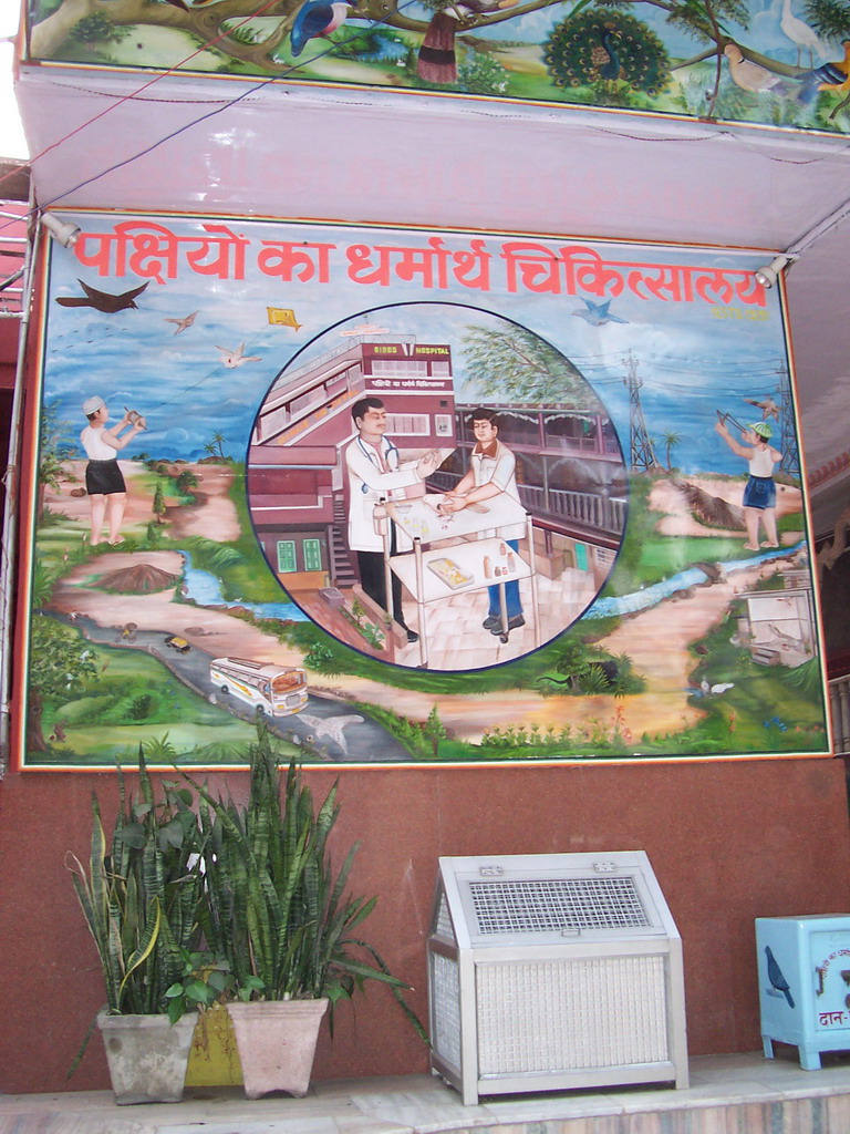 Painting at the front of the Birds Hospital at the Chandni Chowk road