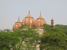 Domes of Safdarjung`s Mosque