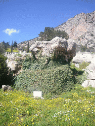 The Sibyl Rock