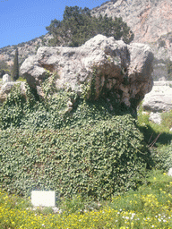 The Sibyl Rock