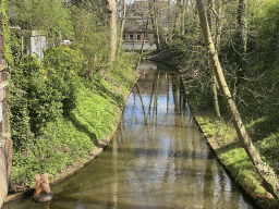 The Binnendieze river at the Casinotuin garden, with a statue of a figure from a painting of Hieronymus Bosch