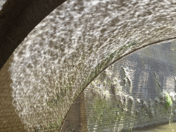 Tunnel under the Kruisbroederstraatje street, viewed from the tour boat on the Binnendieze river