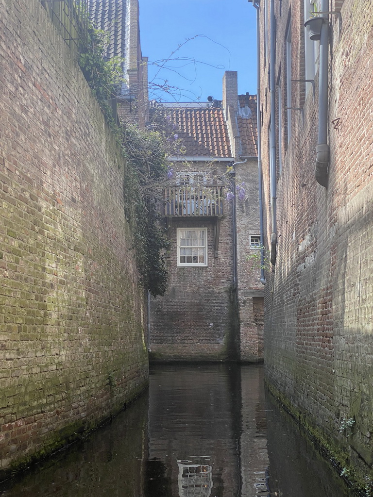 The Binnendieze river and buildings at the Molenstraat street, viewed from the tour boat
