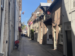 Houses at the Molenstraat street, during the Stegenwandeling walking tour