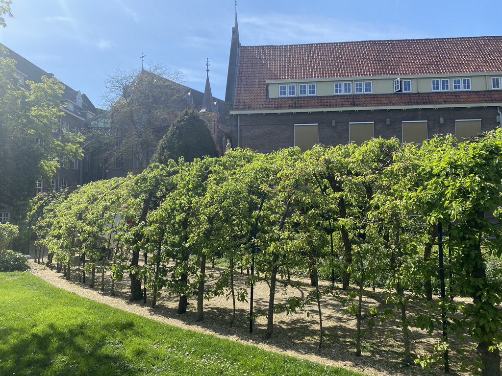 Walkway covered with plants at the garden of the Mariënburgklooster monastery, during the Stegenwandeling walking tour