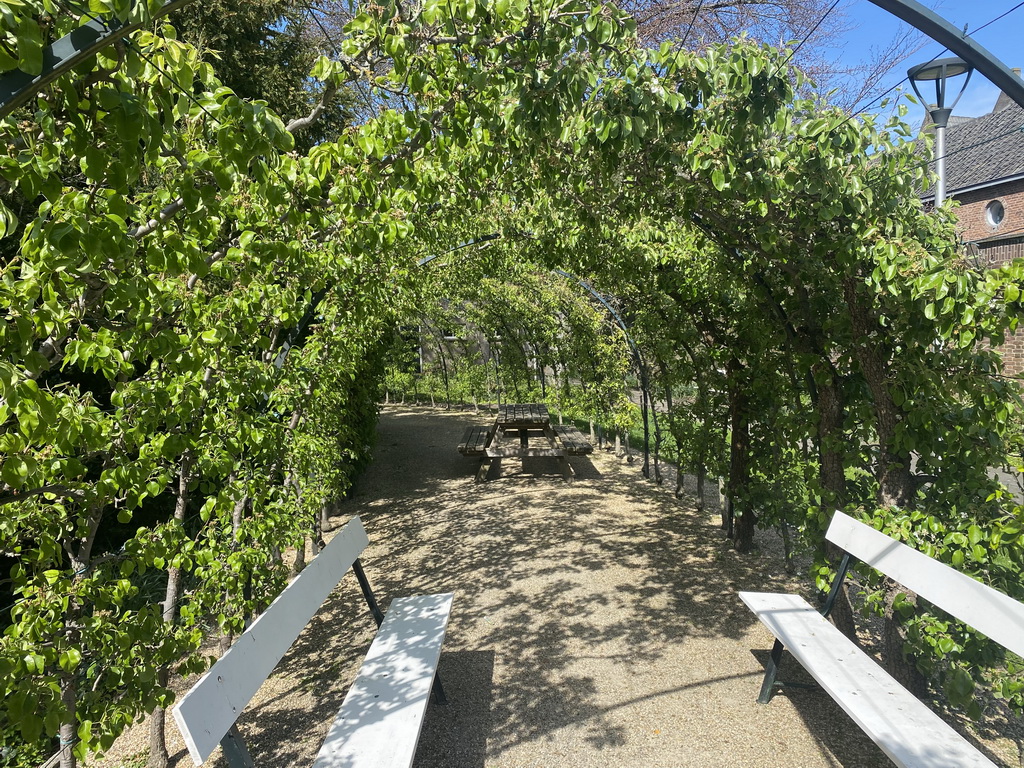 Walkway covered with plants at the garden of the Mariënburgklooster monastery, during the Stegenwandeling walking tour