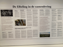 Newspaper articles about the Efteling theme park, at the Efteling exhibition at the Noordbrabants Museum