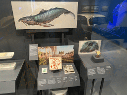 Items from the Safaripark Beekse Bergen and the Symbolica attraction at the Efteling theme park, at the `Het Verhaal van Brabant` exhibition at the Wim van der Leegtezaal room at the Noordbrabants Museum, with explanation
