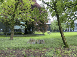 The Paleistuin garden at the Noordbrabants Museum