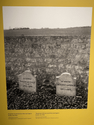 Photograph of the graves of Vincent and Theo van Gogh in Auvers-sur-Oise, at the exhibition `Van Gogh in Brabant` at the Noordbrabants Museum, with explanation
