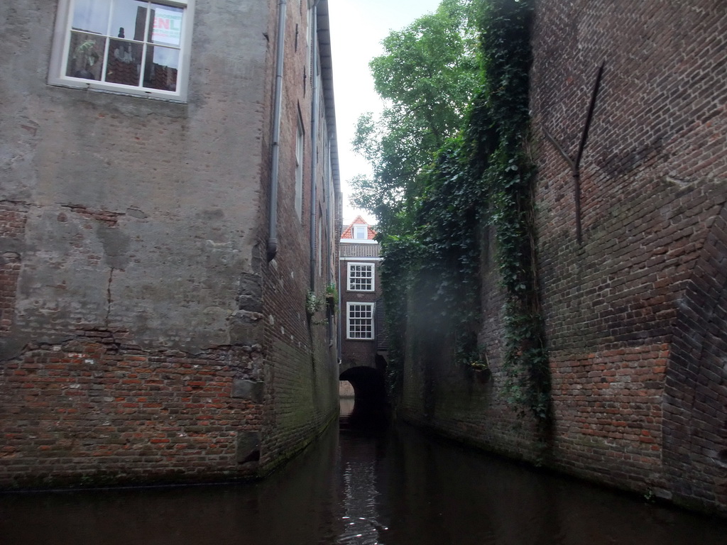 The Binnendieze river, viewed from the tour boat