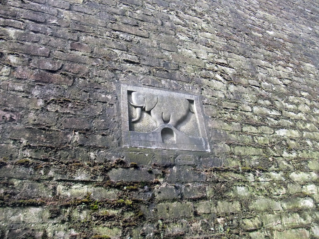 Relief of an elephant in a wall at the Binnendieze river, viewed from the tour boat