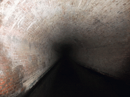 Tunnel at the Binnendieze river, viewed from the tour boat