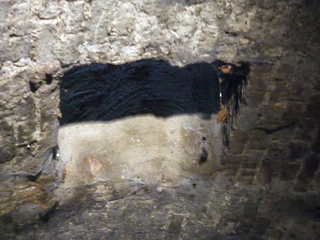 Ceiling of a tunnel at the Binnendieze river, viewed from the tour boat