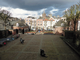 The square in front of the Noordbrabants Museum and St. John`s Cathedral, viewed from the upper floor