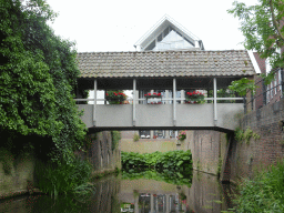 Bridge over the Binnendieze river, viewed from the tour boat