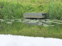 Small pier with the text `Het riool verdween` at the Singelgracht canal and the Bossche Broek grassland, viewed from the tour boat