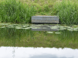 Small pier with the text `De vis verscheen` at the Singelgracht canal and the Bossche Broek grassland, viewed from the tour boat