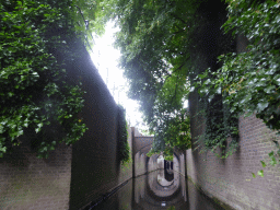 Bridges over the Binnendieze canal, viewed from the tour boat