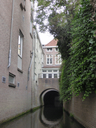 Bridge and buildings alongside the Binnendieze canal, viewed from the tour boat