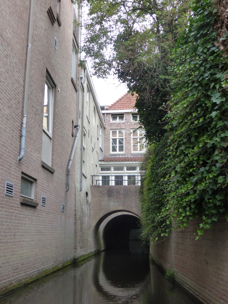 Bridge and buildings alongside the Binnendieze canal, viewed from the tour boat