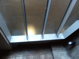 Glass floor of the City Hall in a tunnel at the Binnendieze canal, viewed from the tour boat