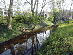 denbosch_7_008 - 535 kb - 1024x768 - The Binnendieze river at the Casinotuin garden, with a statue of a figure from a painting of Hieronymus Bosch The Binnendieze river at the Casinotuin garden, with a statue of a figure from a painting of Hieronymus Bosch