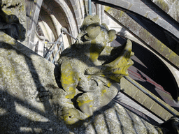 Flying Buttress at the fourth row at the south side of St. John`s Cathedral: `Winged Dragon`, viewed from the upper platform of the `Een Wonderlijke Klim` exhibition