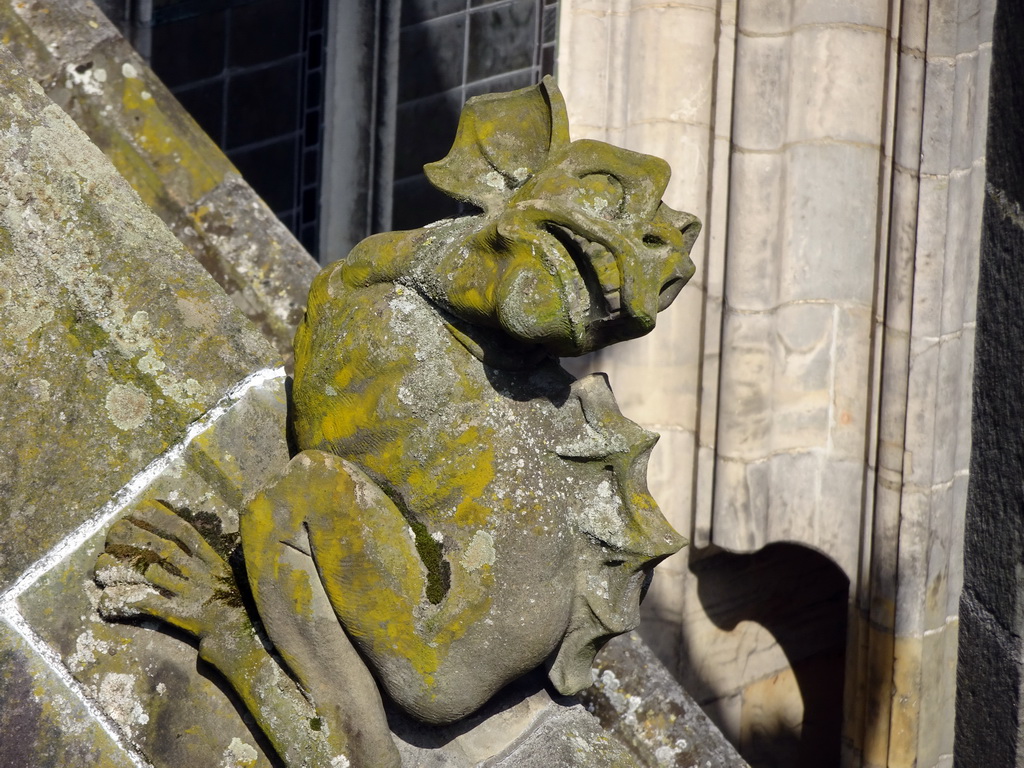 Flying Buttress at the fifth row at the south side of St. John`s Cathedral: `Small 2 Legged Dragon`, viewed from the platform of the `Een Wonderlijke Klim` exhibition