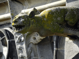 Gargoyle at the second row at the southwest side of St. John`s Cathedral, viewed from the lower platform of the `Een Wonderlijke Klim` exhibition