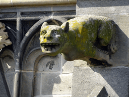 Gargoyle at the second row at the southwest side of St. John`s Cathedral, viewed from the lower platform of the `Een Wonderlijke Klim` exhibition