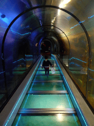 Max at the underwater tunnel at the Aquarium at Fort Kijkduin