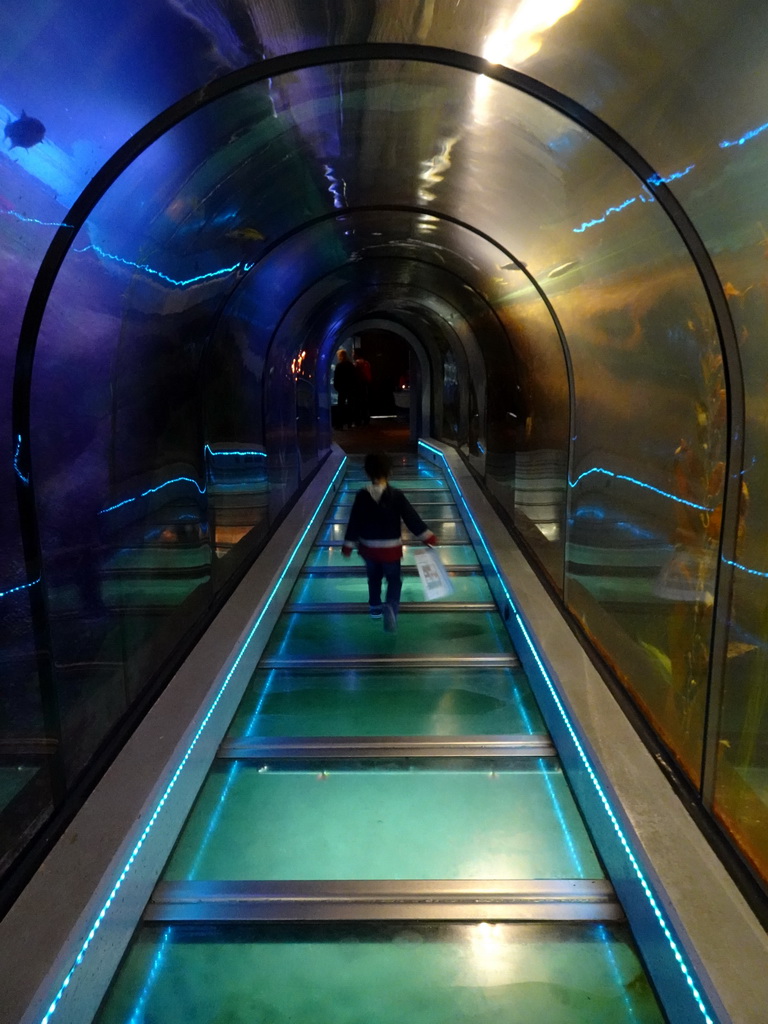 Max at the underwater tunnel at the Aquarium at Fort Kijkduin