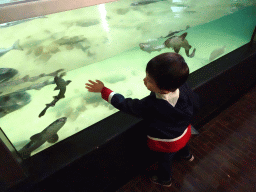 Max with sharks at the Aquarium at Fort Kijkduin