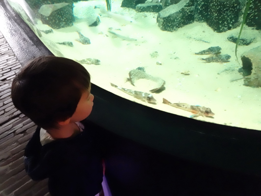 Max with fishes at the Aquarium at Fort Kijkduin