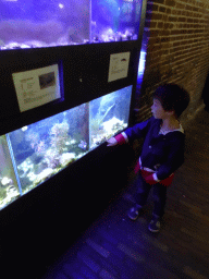 Max with fishes at the Aquarium at Fort Kijkduin