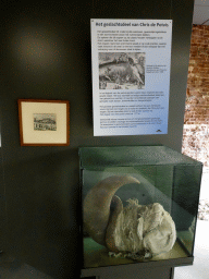 The penis of the Sperm Whale `Chris` at the Aquarium at Fort Kijkduin, with explanation