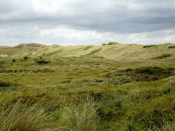 The dunes at Huisduinen