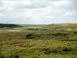 The dunes at Huisduinen